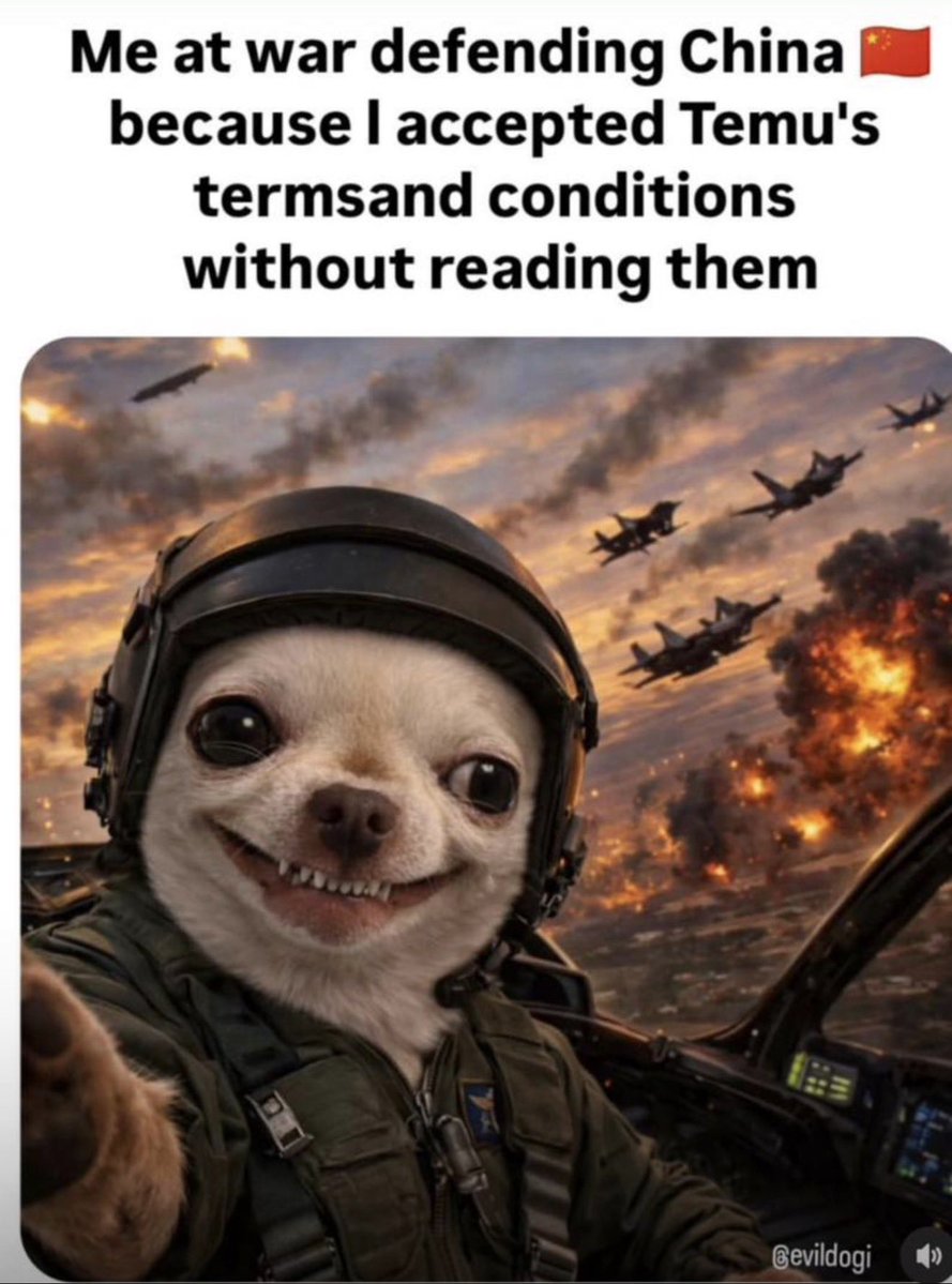 Prophet Joel Ogebe (@prophetjoelo) on Twitter photo 