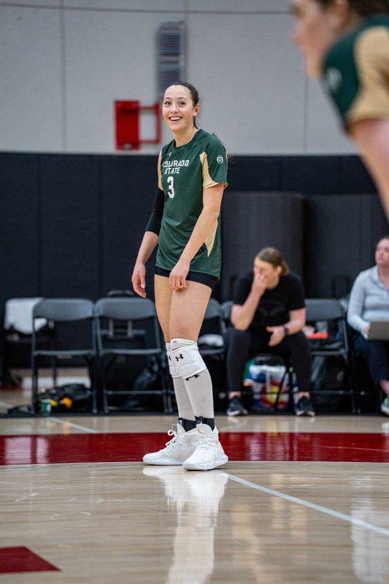 Colorado State Volleyball tweet media