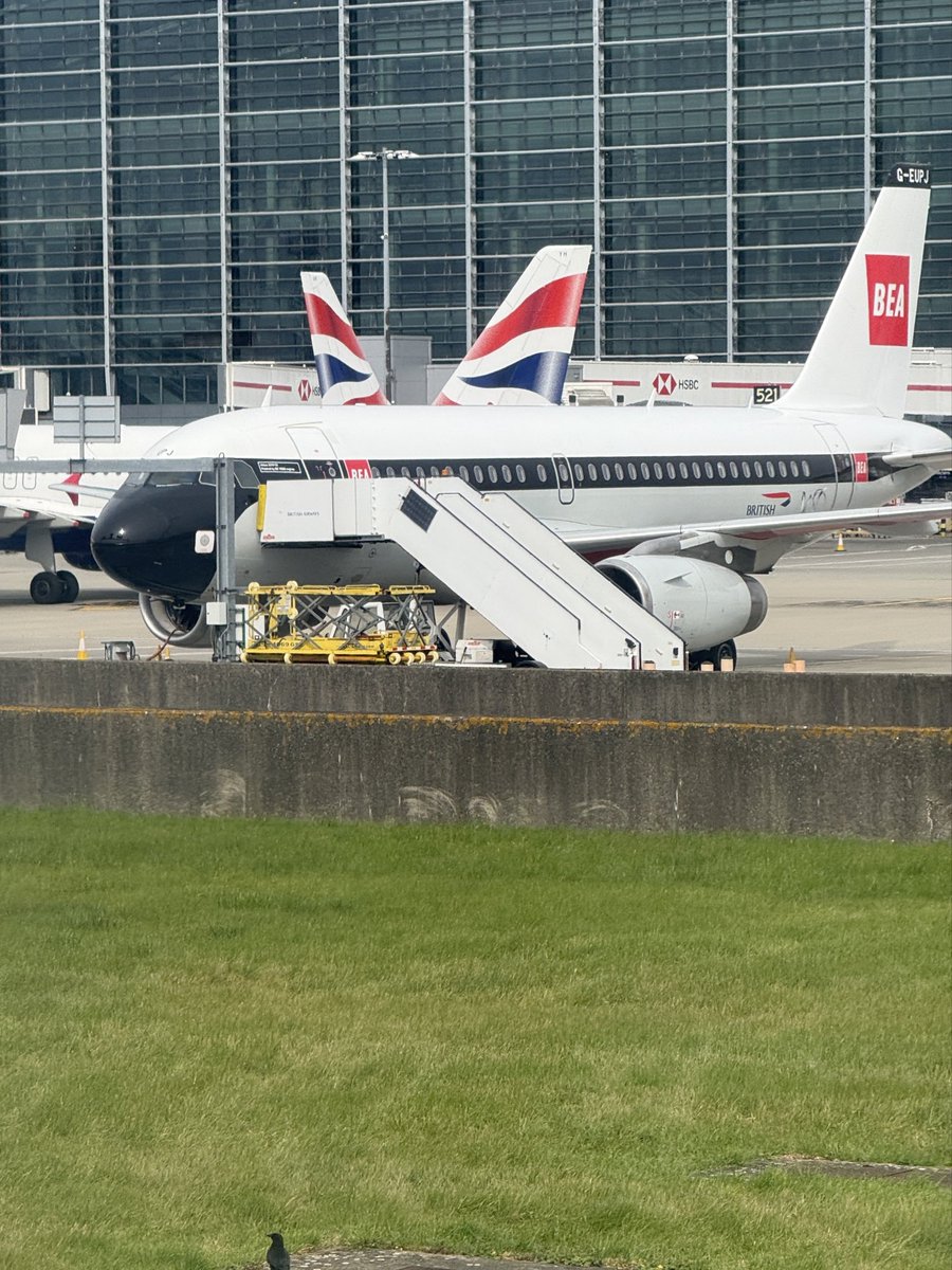 LindzzeB's tweet image. How can you not love this livery 😍✈️ #avgeek