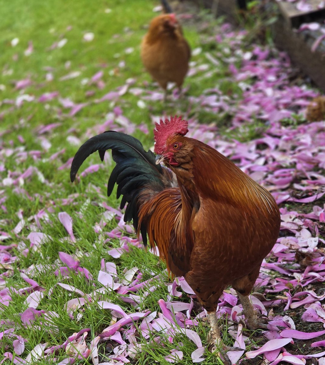 DoYouHaveaFlag? Blue 🌊Check❤️🤍💙💛🇺🇦 tweet media