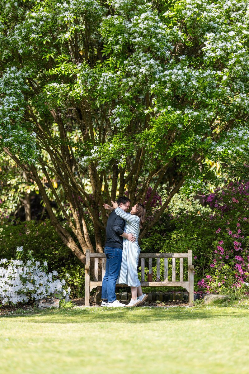 Henry Skutt tweet media