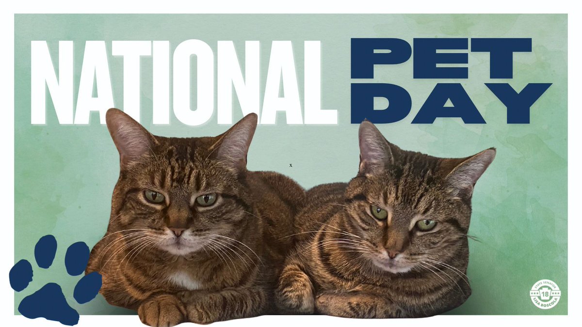 Happy National Pet Day from Momma &amp; Daisy! 🐾

DYK Pennsylvania requires dog licenses? My office can help process annual or lifetime dog licenses—reach out anytime if you have questions or need assistance.