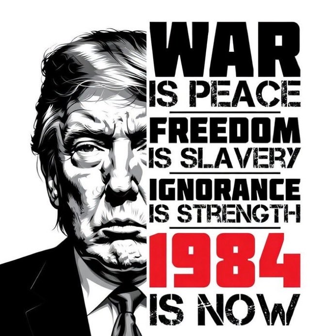 Usul ༼ つ ◕_◕ ༽つ tweet media