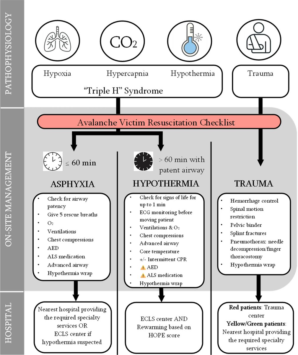 Critical Care Reviews tweet media