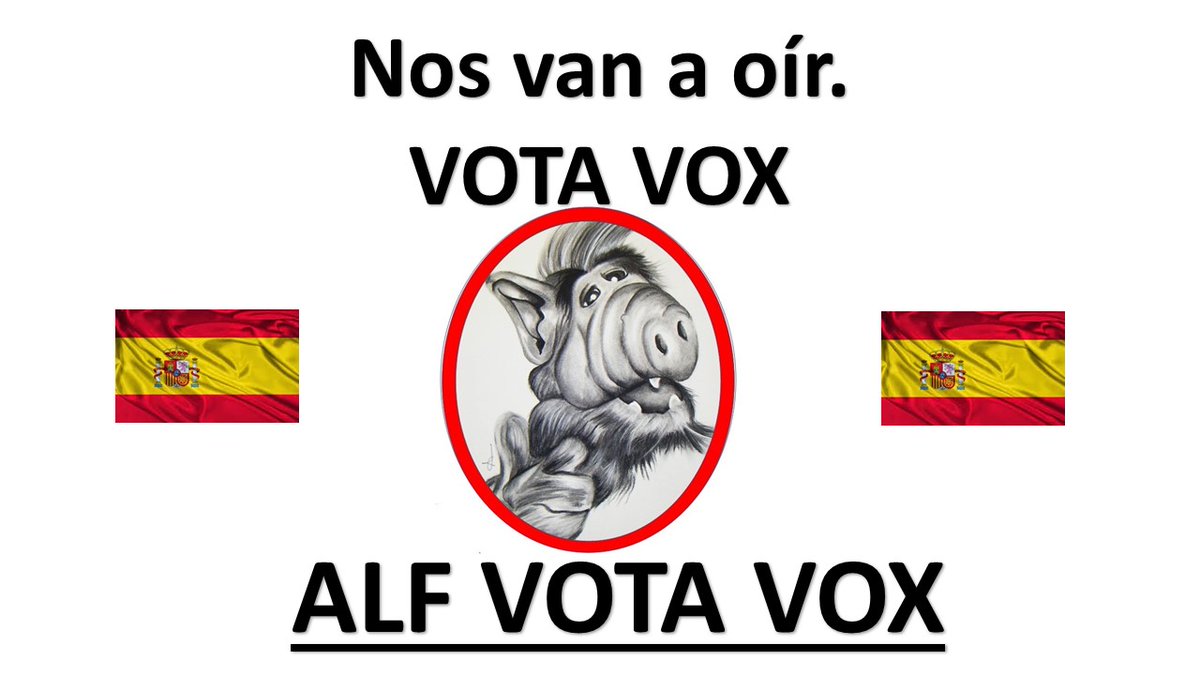 ALF ¡¡ Lucky gato maaaalo!! 🇪🇸 💚 tweet media