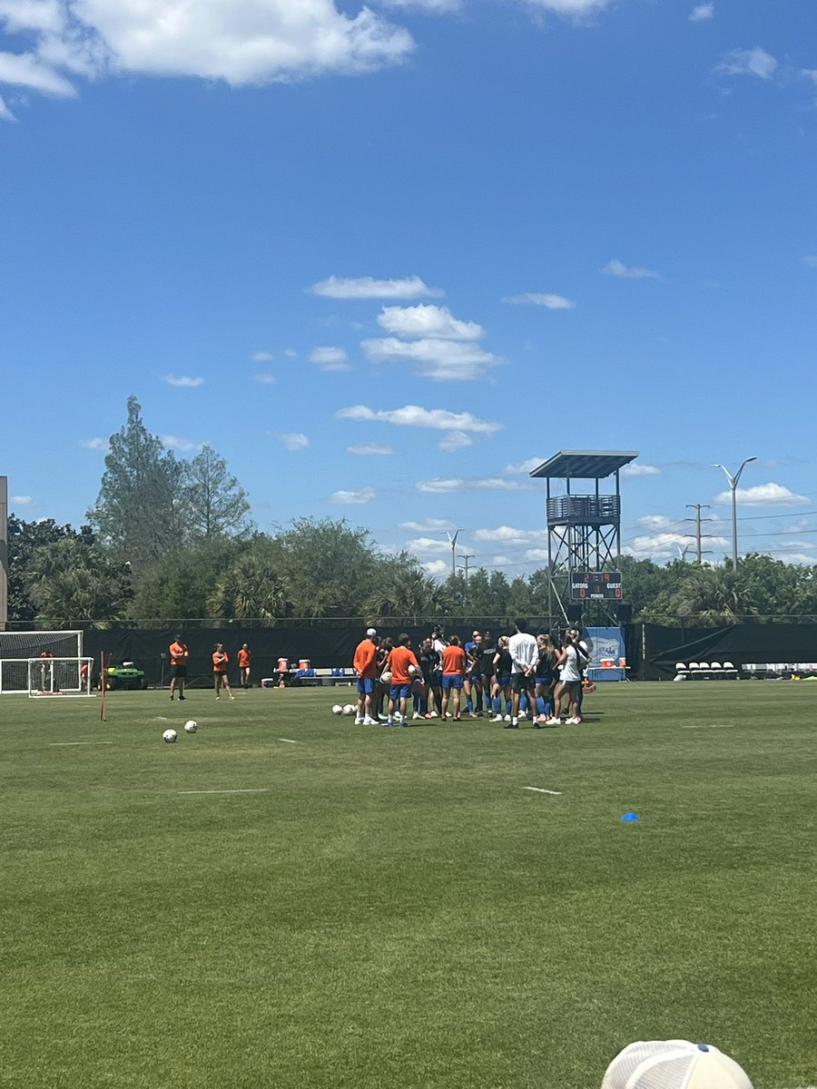 Molly McBride tweet media