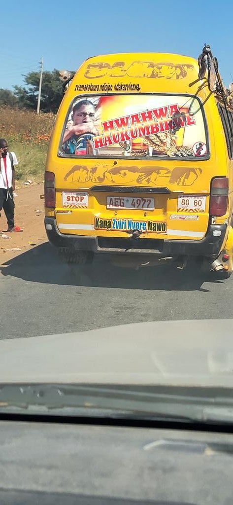 Vanotaura musadaro 😆😆