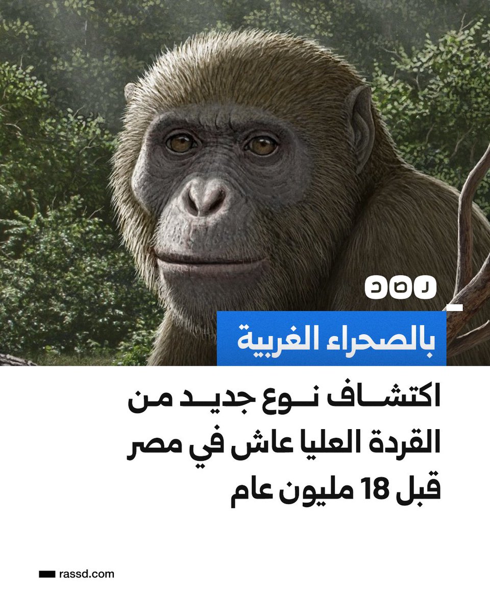 شبكة رصد tweet media