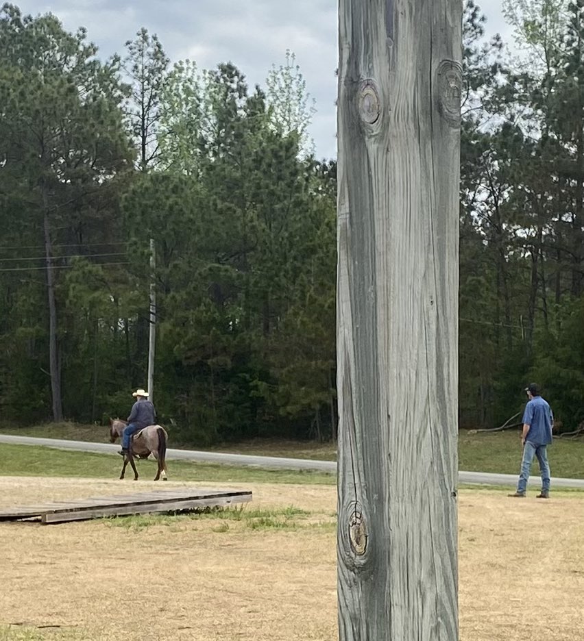 jmjines's tweet image. Another wonderful day in the saddle! 🐴 🤠 #horse #saddle #cowboy