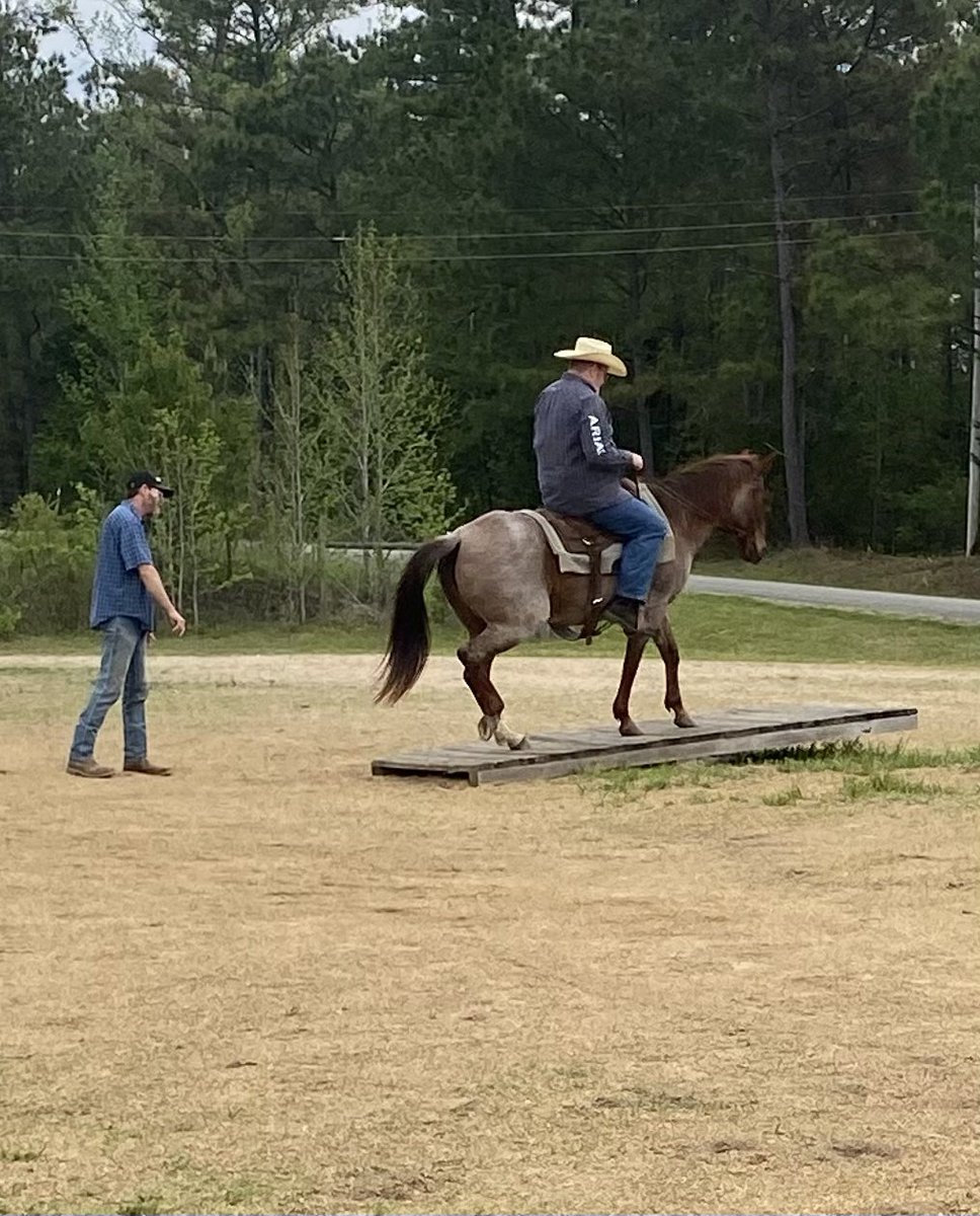 jmjines's tweet image. Another wonderful day in the saddle! 🐴 🤠 #horse #saddle #cowboy