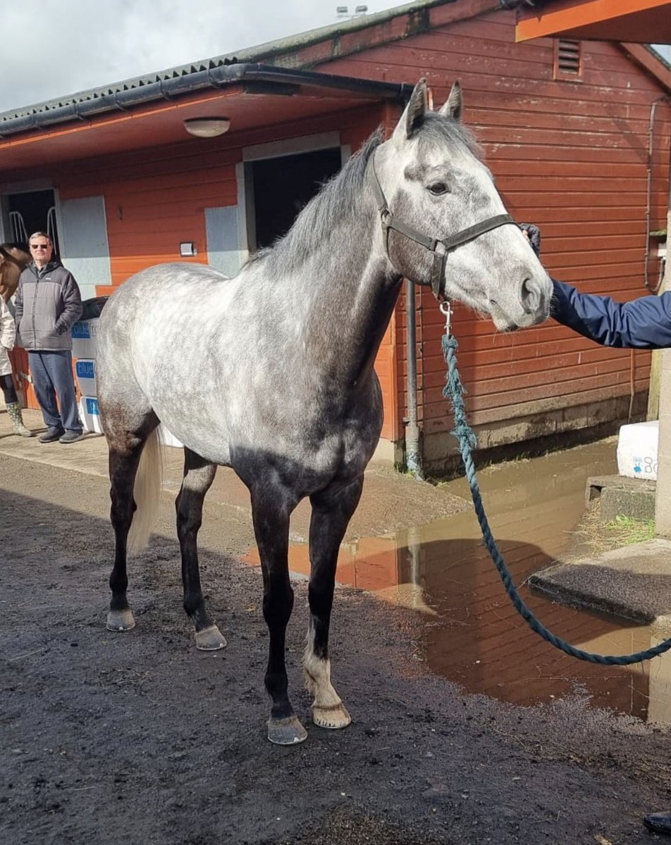 Katie Scott Racing tweet media