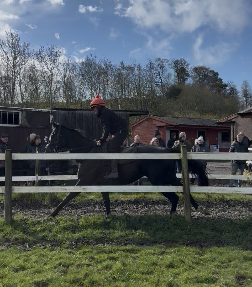 Katie Scott Racing tweet media