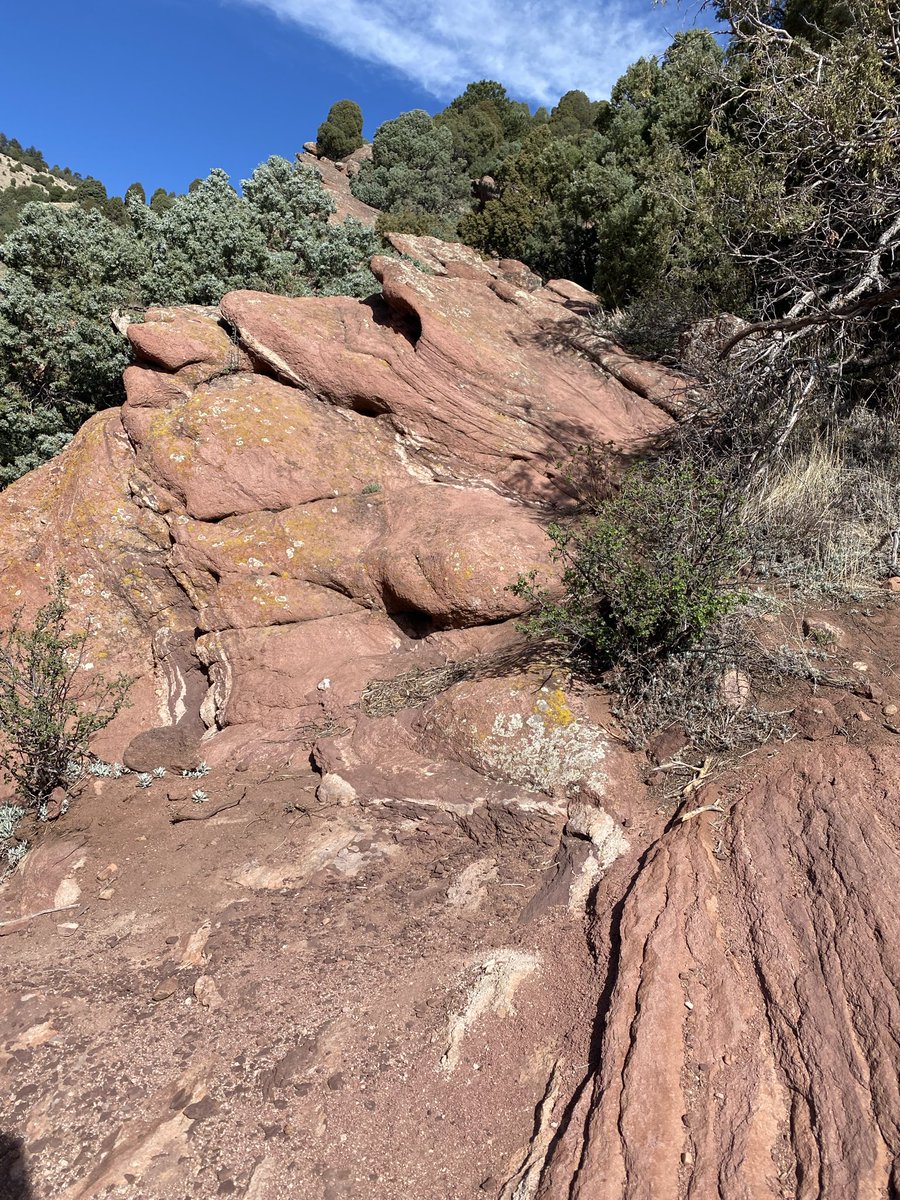 Curious Cat Podcast✨ tweet media