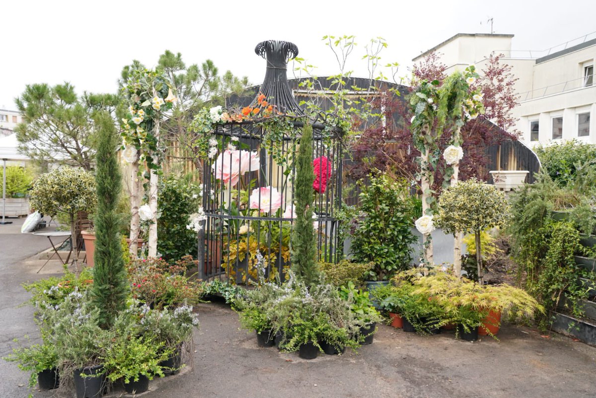 AzzazNadege's tweet image. 🪴🌷🌸Portes ouvertes serres municipales de #Châtillon, une bien belle journée d’échanges et de conseils grâce à nos formidables jardiniers. Et on a même pu repartir avec de jolis trésors à planter.
Merci à nos agents de nous partager leur passion qui rend notre ville si belle ✨