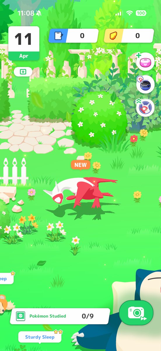 🔥TyphlosionTycoon 🔜 Go Fest Chicago tweet media