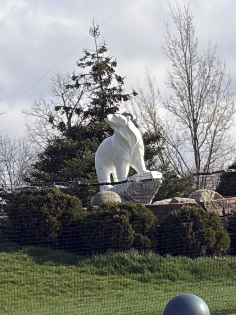 Eli Thim tweet media