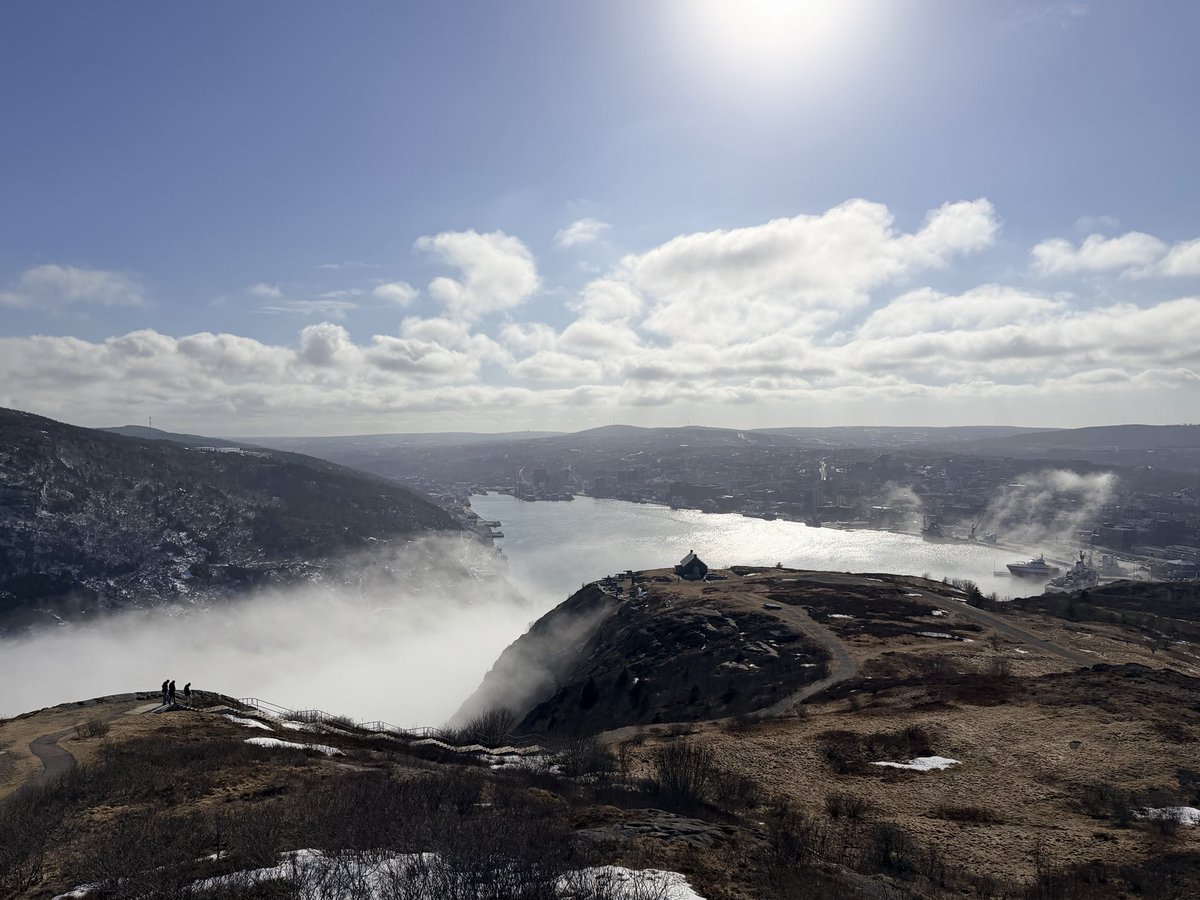 the quiet life 🇨🇦 🫐🐋🐾🏴󠁧󠁢󠁳󠁣󠁴󠁿🐳🫎🦭🍁🦅 tweet media