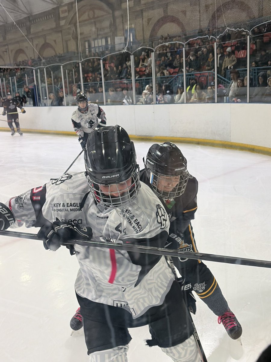 Assaf Hay Eden tweet media