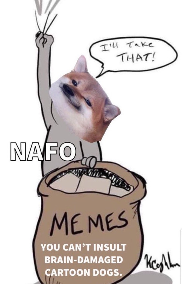 Catalina Lander tweet media