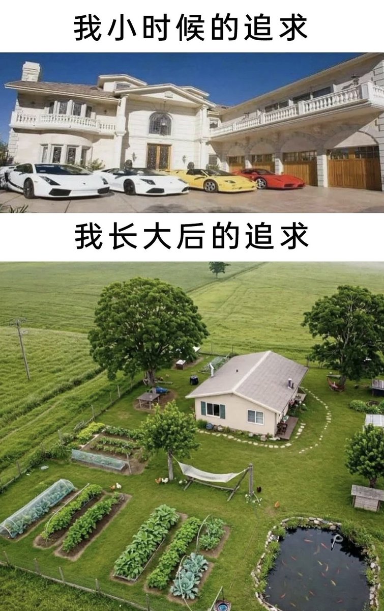 雲鳩 tweet media