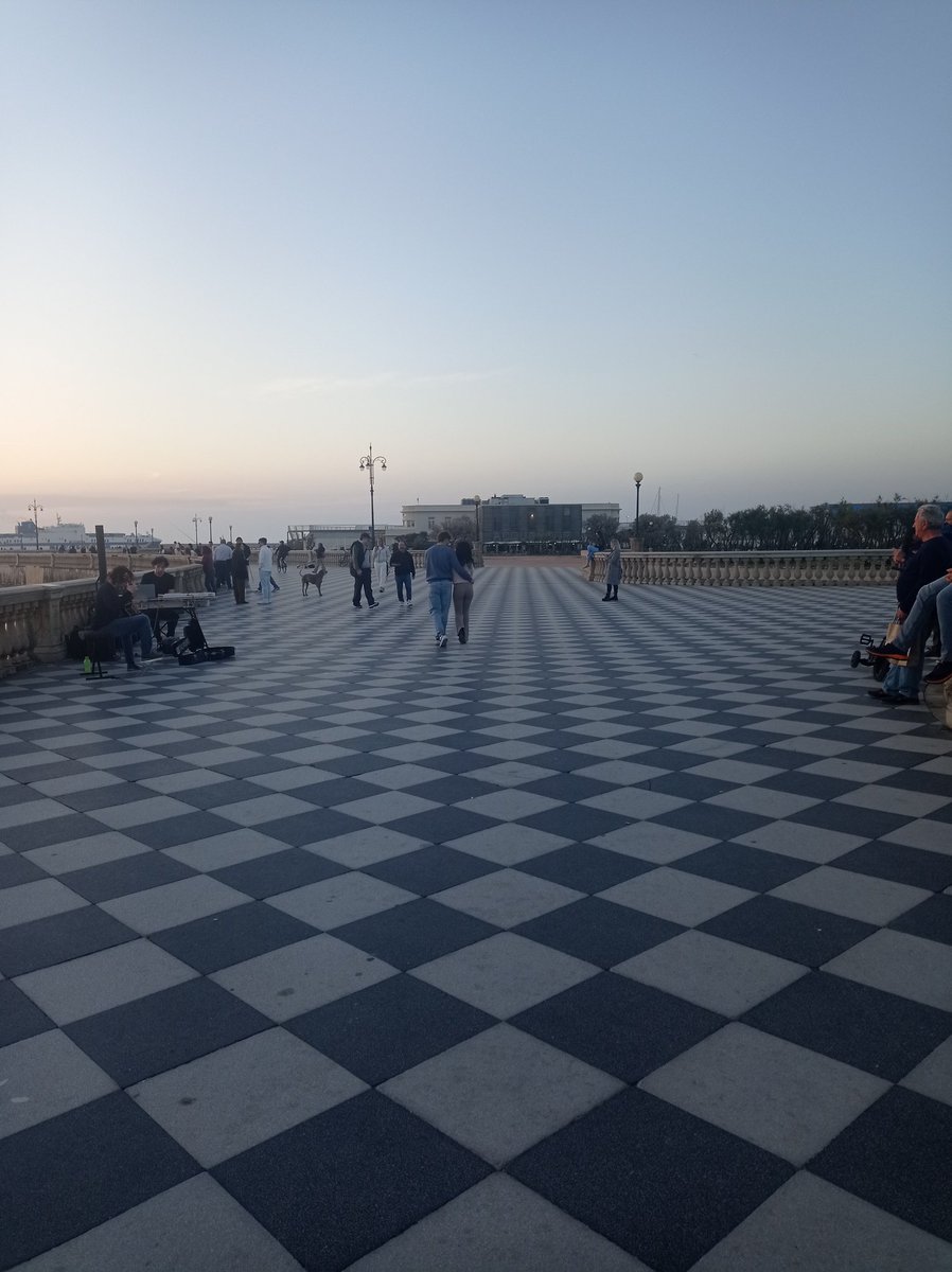 MarziaGuerrucci 🇨🇦 tweet media