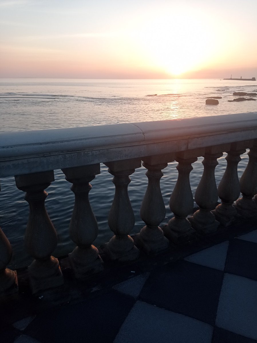 MarziaGuerrucci 🇨🇦 tweet media