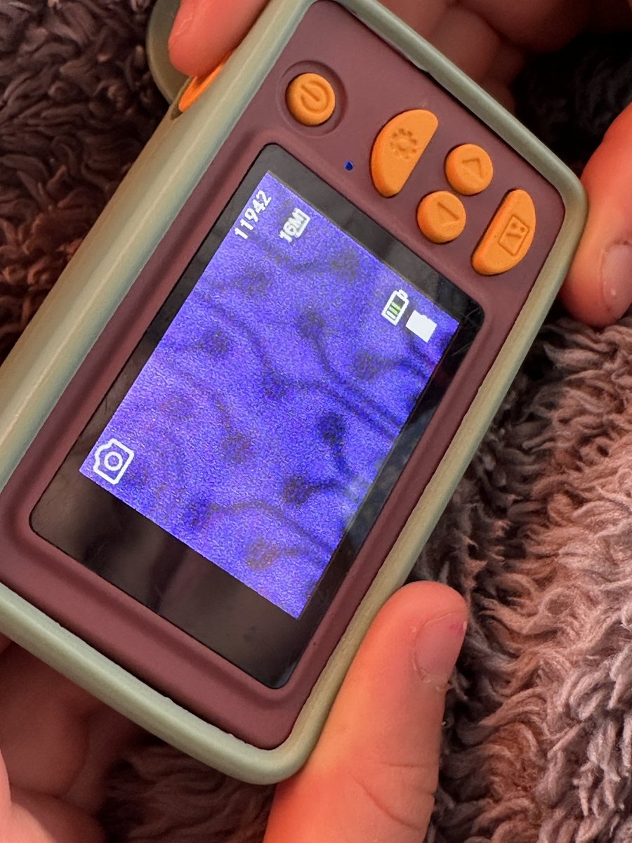 my daughter’s cheap camera can see its own sensor traces in the dark