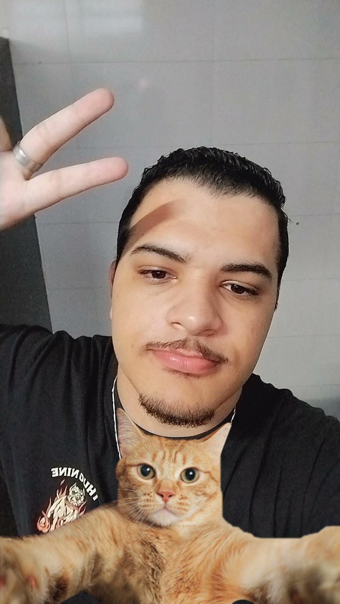 O Corvinho tweet media