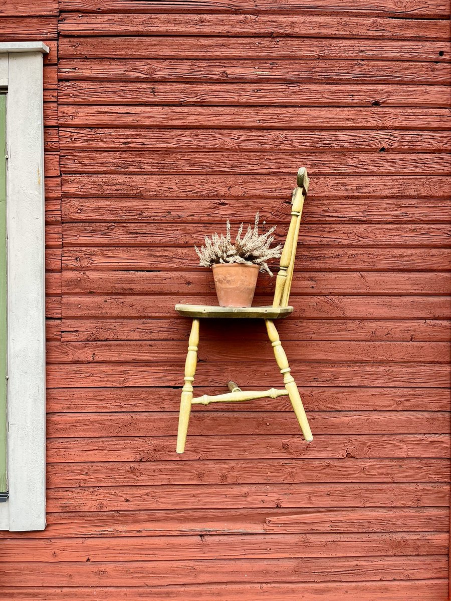 A.couple.of.curiosities tweet media