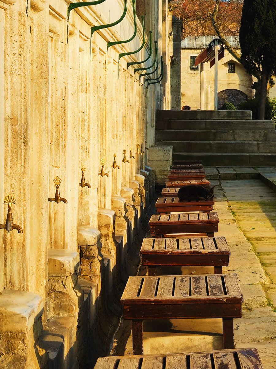 gouzenko tweet media