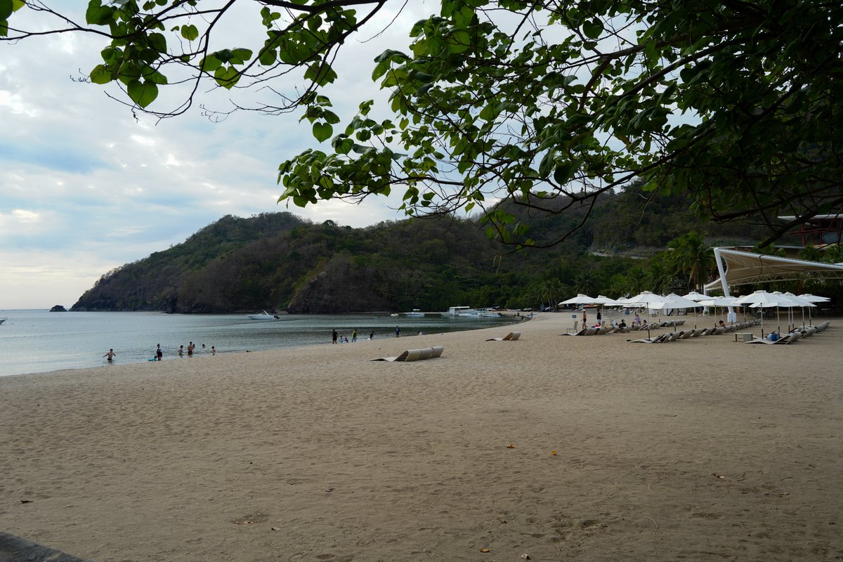 LennyTParadise's tweet photo. The many moods of Pico de Loro 🌿🦆🌅

Whether it’s a quiet morning by the lake with some feathered friends, a midday stroll across the bridge, or catching a world-class sunset over the cove—this place is a true sanctuary for the soul. 🇵🇭✨

#PicoDeLoro #Nasugbu #Philippines https://t.co/9dz9Oz2sUC
