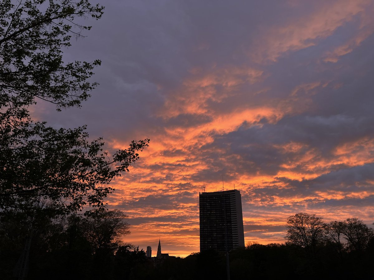 silentpath tweet media