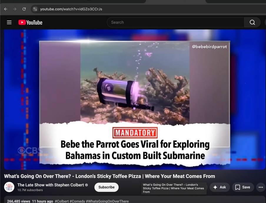 AnalyticalMoola's tweet photo. that really was such a juicy dip on $bebe

this parrot is going extremely viral, owner launched the coin, being interviewed on major news outlets, etc https://t.co/UTSyXGHGUW