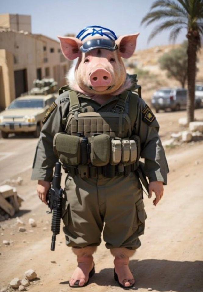 Kirmastili tweet media