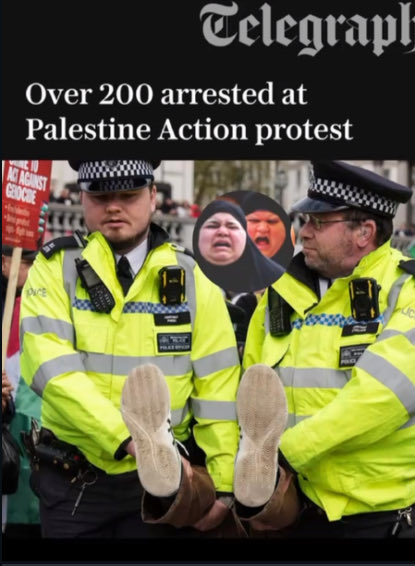 Liza Rosen tweet media