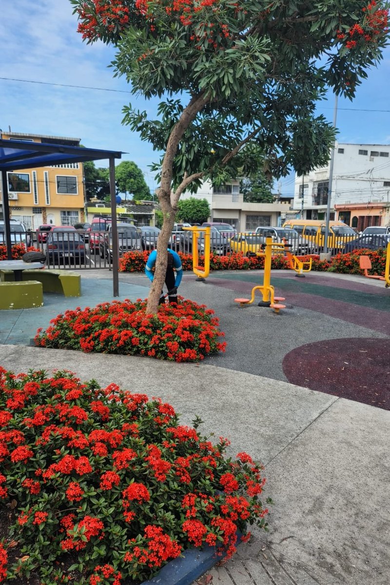 Parques EP tweet media