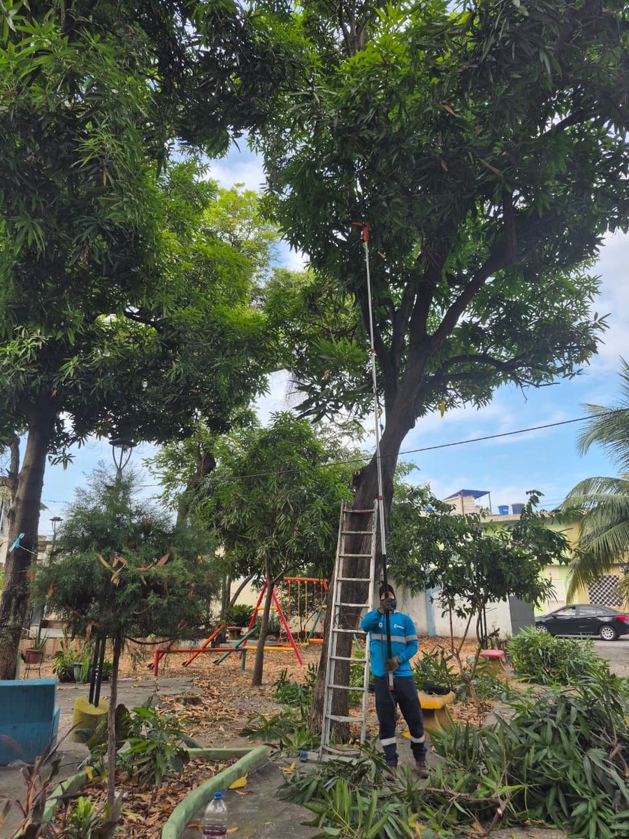 Parques EP tweet media