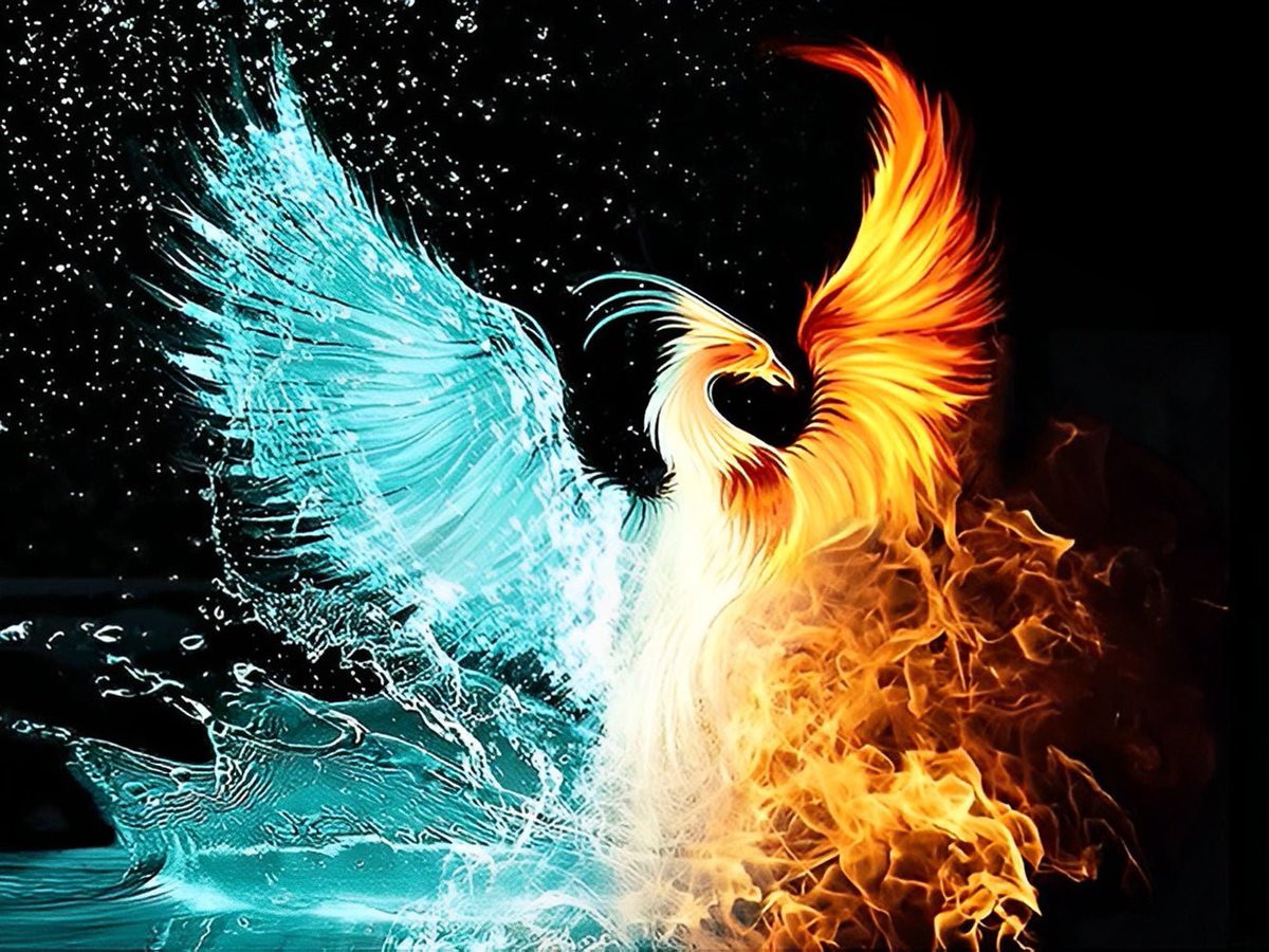 Sungur_Efebey tweet media