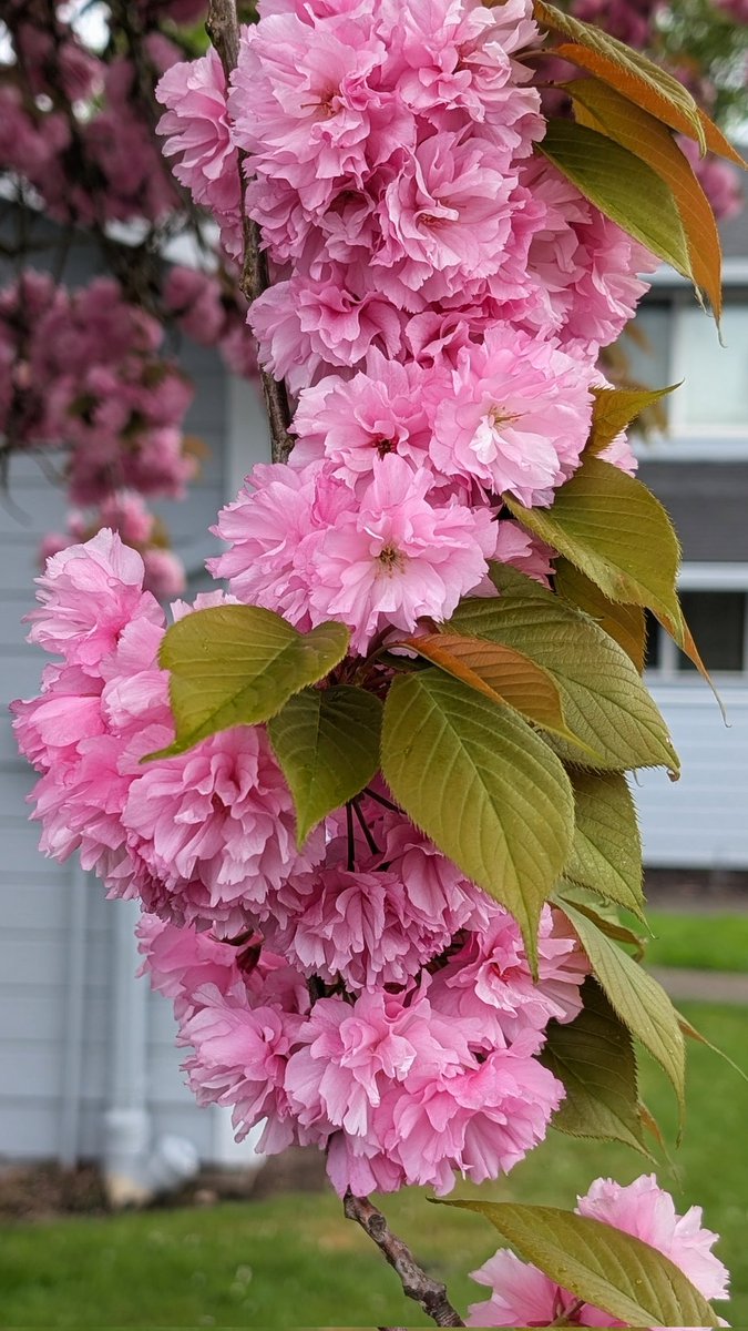 Hope everyone's having a happy Saturday!