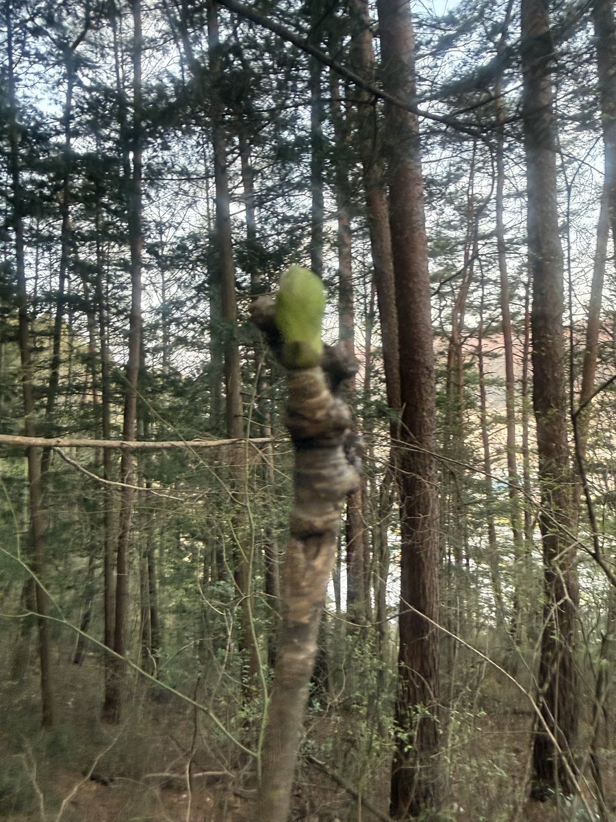 土地家屋調査士平泉規の日常 tweet media