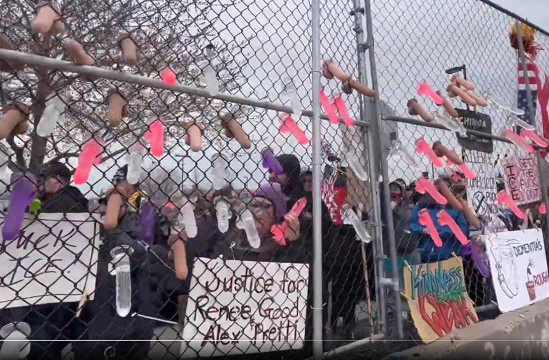 Jeanne Adams tweet media