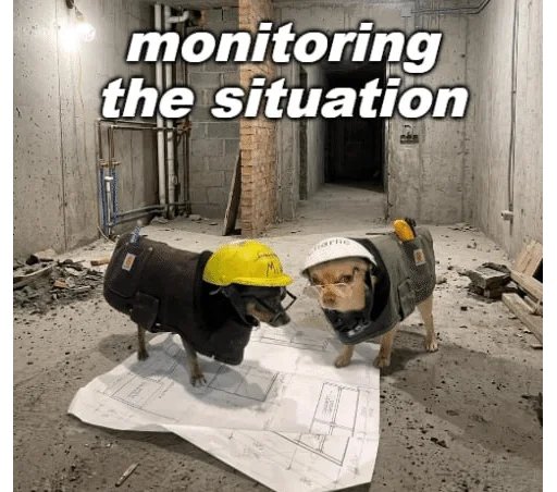 DavidWyns tweet media