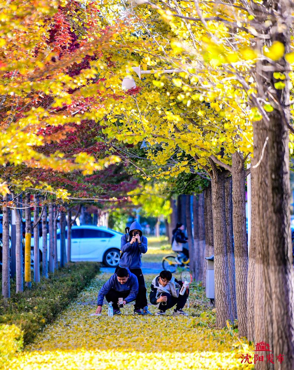 Shane Bell tweet media