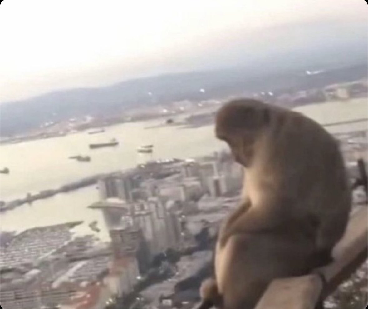 my dear melancholy tweet media