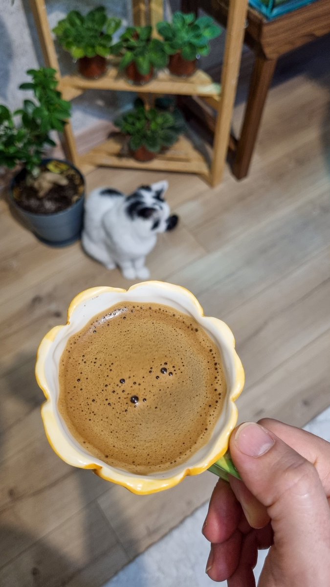 Özgür Erkocaoğlu tweet media