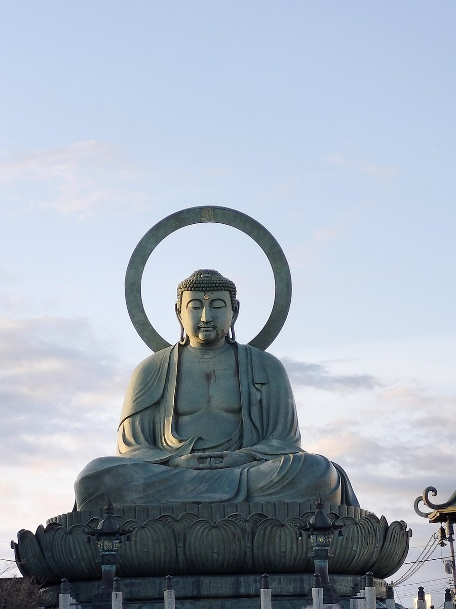 🏔山のあずさ🏔⋋(◍’Θ’◍)⋌ tweet media