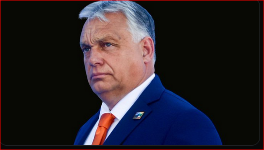 🇮🇹 ✞SADIComic✞ 🇺🇸 tweet media