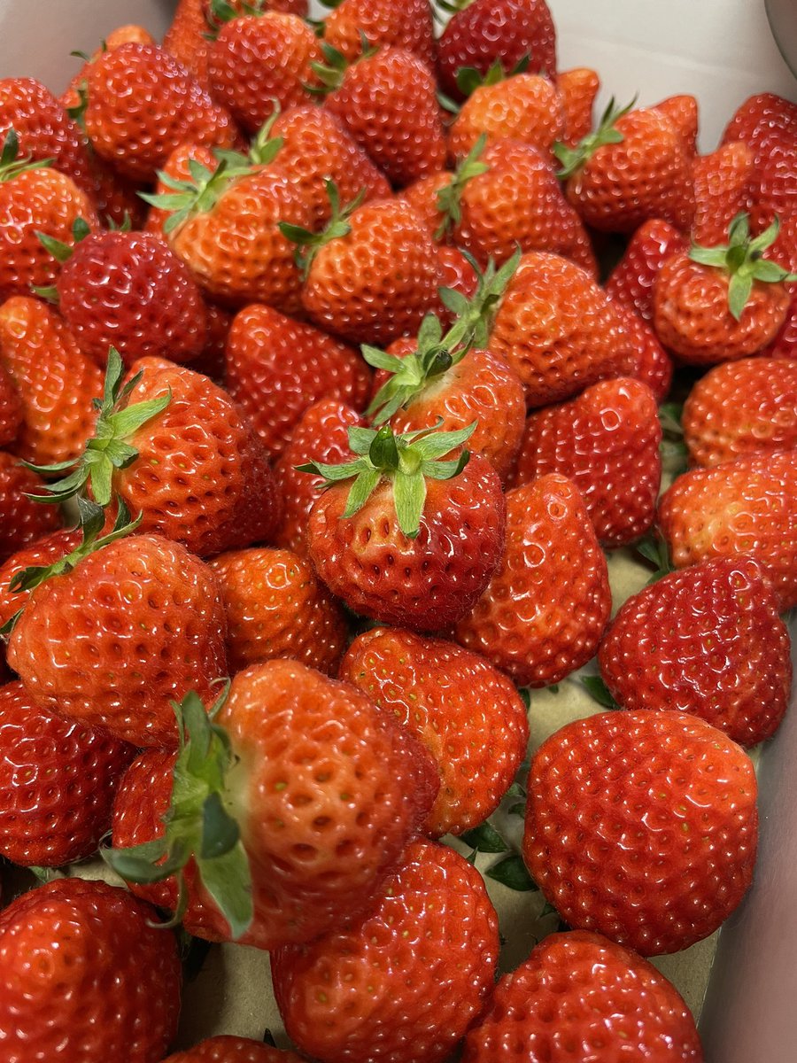 寝そびれた…😇おはようございます🍓
今日は出店death😇✨