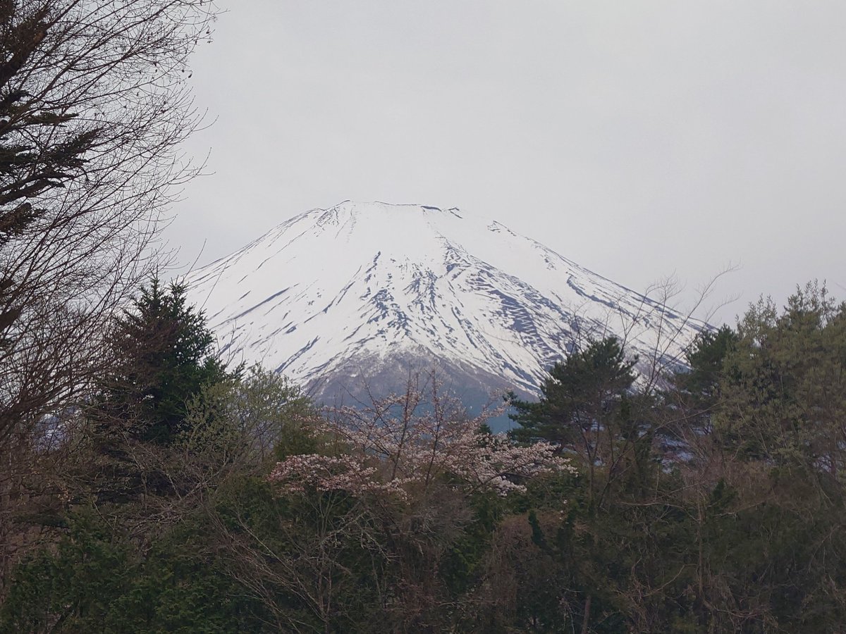 あっちゃん tweet media