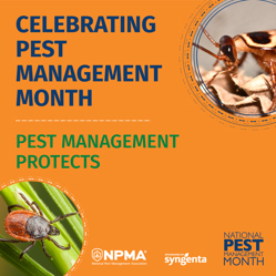 heritageppg's tweet image. April is National Pest Management Month! We're proud to recognize the pest management professionals who work hard every day to protect public health, food, &amp;amp; property. 

Learn more at hubs.ly/Q04bwML40

#HeritageLandscapeSupply #AmericasLandscapeDistributor #NPMA